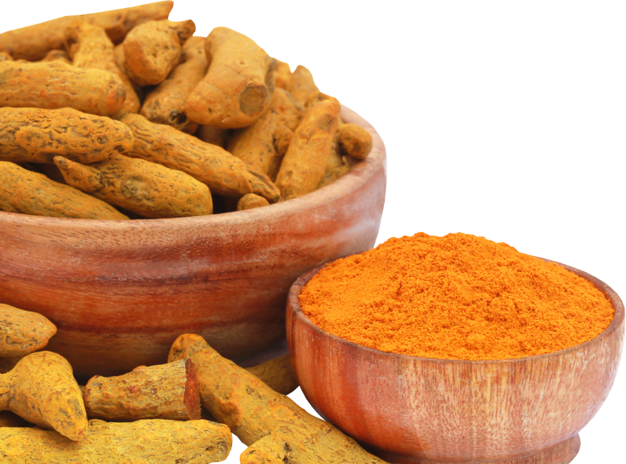 Turmeric Farming Fields India